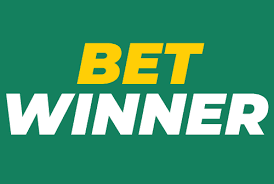 Discover the Thrills of BetWinner Casino DE 19