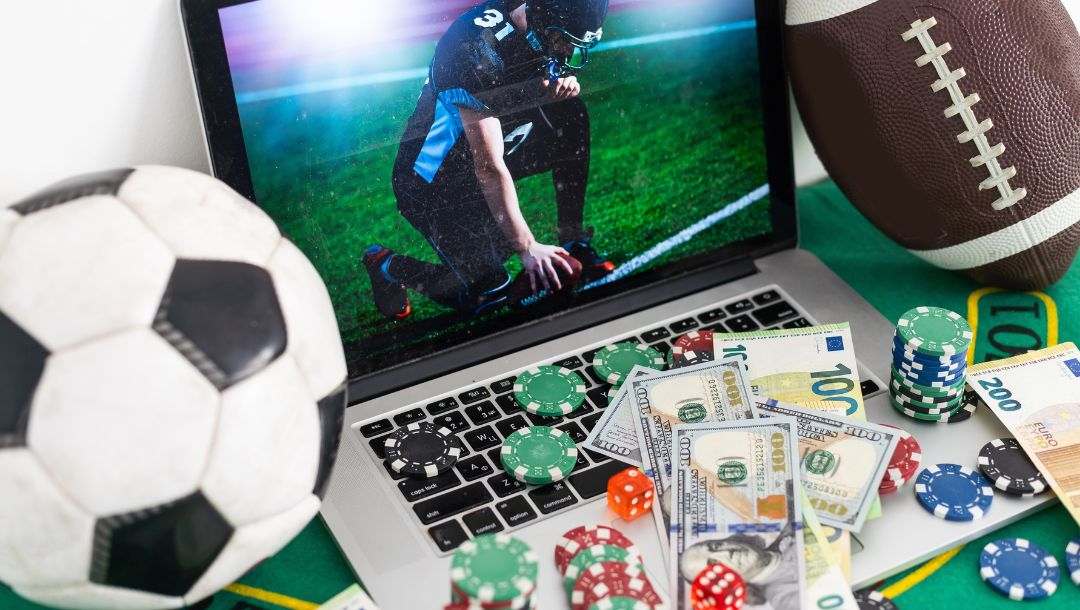 What to look for in a Quality Online Casino What to look for in a Quality Online Casino