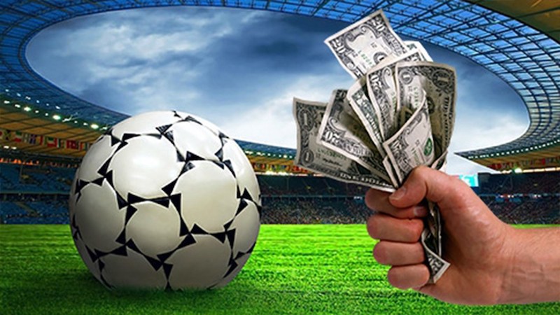 Découvrez le monde fascinant de Betwinner 13