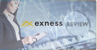 Understanding Exness Member Aria for Better Trading Experience
